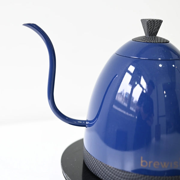 Brewista Artisan 0.6L Gooseneck Variable Kettle - Sports